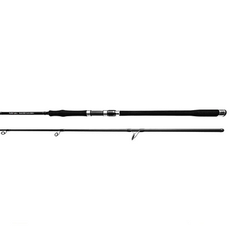Dentist 300 Huchen 50 - 165g