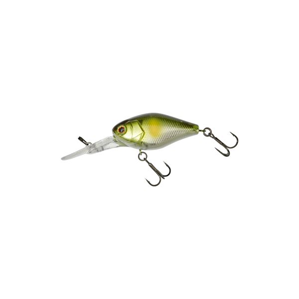 CHUBBY 41 DR