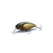 Crank CRNK 50SR