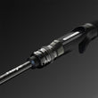 NXT Casting