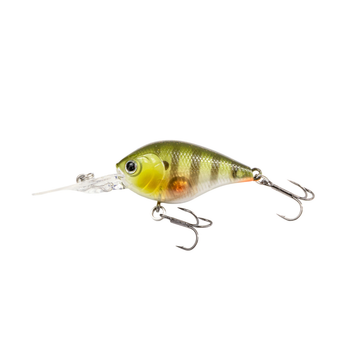 Kaishin Crank 45 DR