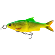 3D Glide Roach 23cm 170g