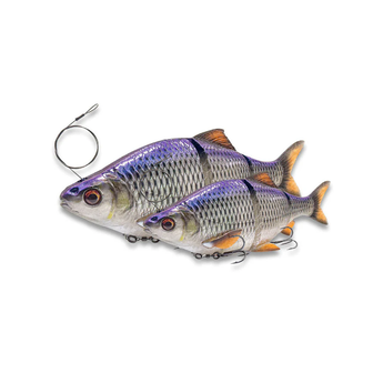 3D LT Roach 25cm 206gr SS