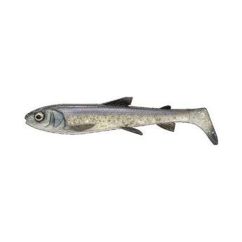 3D 23cm Whitefish Shad