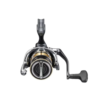 ULTEGRA FD 2025