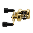 Shimano Calcutta Conquest MD