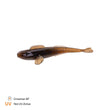 Finesse Goby 8.5cm