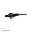 Finesse Goby 7cm