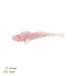 Finesse Goby 8.5cm