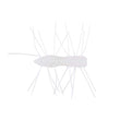 1.75" Fuzzy BugZ