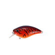 DUO Realis Apex Crank 66 Squared
