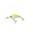 Daiwa Steez Crank 100F-SR 54mm