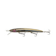 Daiwa Steez HMKL Minnow 137SP