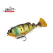 Molix Hybrid Swimmer 165