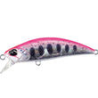 DUO Spearhead Ryuki 50S