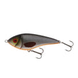 Swim Glidebait 12cm suspending